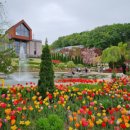 자작나무숲 펜션 2 이미지