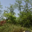 이백농장 이미지