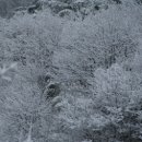 베데스다농장 이미지