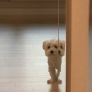 멍멍이가족 이미지