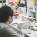 영등포치과기공소 이미지