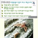 진우커뮤니케이션
