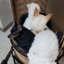 동석농장 이미지