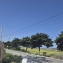 암태한옥민박 이미지