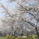 신샘밭로 이미지