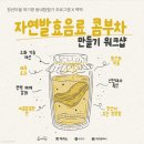 맥맥x여기랑 콤부차 워크숍 후기