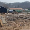 강매농장 이미지