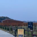 대전근교 세종 반려동물 동반 펜션 추천 : 스테이인터뷰 노호 : 내돈내산 솔직후기