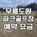 대구도원초등학교 | 성주 무릉도원파크골프장 예약 방법 위치 요금 휴장없는 사설