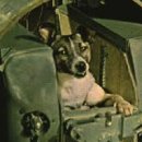 우주사우나 이미지