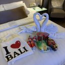 묵꼬 | 발리신혼여행(부산 반하나투어)1화/머큐어 르기안 호텔 정보 조식 후기/선택일정 사파리투어