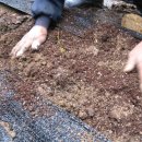 무주 농원 이미지