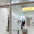 애쁨속눈썹