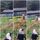 우람찬농장 네이버블로그