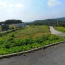 마이더스공인중개사사무소 이미지