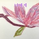 멜리비