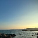홍포촌닭
