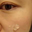 포레스트569 | [제품리뷰-'포레스트 피톤수분시카 세럼'] 속건조는 이걸로 해결