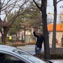 오쎄 이미지