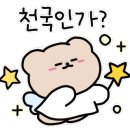 (주)러브커머스 이미지