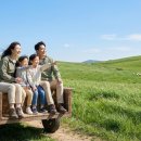 대안목장 | 대관령 목장 여행 A to Z: 가성비와 만족도를 동시에 잡는 현명한 선택