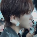 민들레생각 이미지