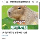 서울 실내 데이트 추천! 영등포 타임스퀘어 주렁주렁 동물원 방문 후기