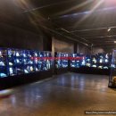 허브밸리(주차장 버스) | [포천 가볼만 한곳] “여기 이렇게 알찬 곳이었어?” 포천 아트밸리(예술정원)1999 직접 가보니 진짜 만족