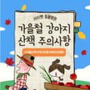 아이펫 동물병원 이미지