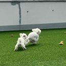 루이야 놀고 자고 GO 이미지