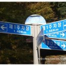 세창상회 이미지