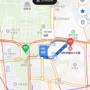 뿡뿡애견호텔 | BTS 콘서트 광화문 인근 숙소로 완벽한 서머셋팰리스 서울