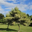 금송2길 이미지