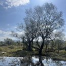 생태습지 이미지