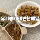 (성인) 건강하고 맛있는 요리 | 유기농아이반찬 두돌 아이반찬배달 새벽배송 유기농키즈앤푸드 후기