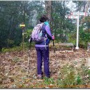 상전면사무소 이미지