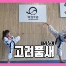 고려키즈태권도원 이미지