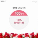 꽃 - 사천시 진삼로 1469 | 꽃