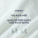 포근포근 Daum카페