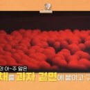 무늬 이미지