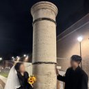 콜로세움 | [로마] 사진 찍으러 갔다가 역사 투어까지?🫢ㅣ로마 콜로세움 스냅 후기