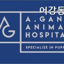 어강동물병원