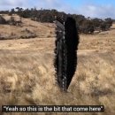 사안농장 이미지