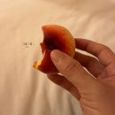 버스정류장 05-175 | 24.1월 5박 6일 홍콩·마카오 여행 일정 [Day4]-(1): 스타벅스 슌탁센터, 홍콩마카오 페리 터미널, 홍콩...