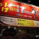 우양과메기