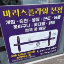 마리스플라워 이미지