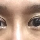 KOKO.B안경원 이미지