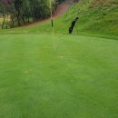 주) 삼구 골프클럽 이미지