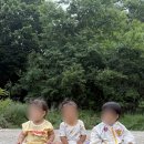 곰배령 쥐와 돼지 이미지