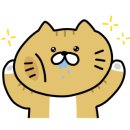 엘동물병원 이미지